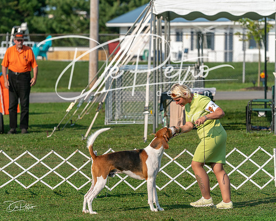 20240913-DSC00288