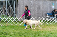 20240428-DSC00046