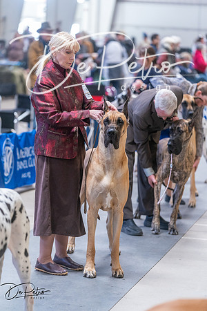 20250302-DSC06056