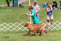 20250628-DSC07718