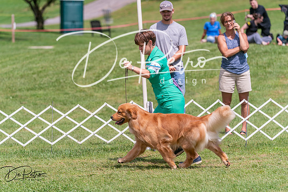 20250628-DSC07718