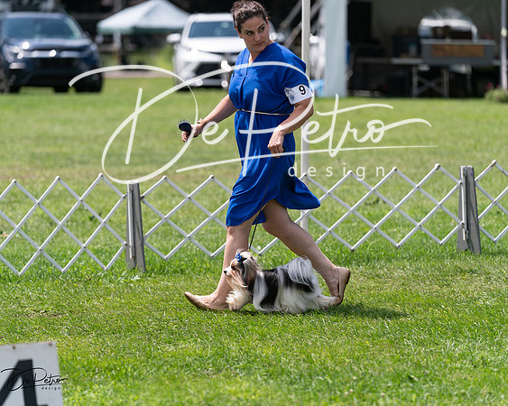 20240630-DSC01612