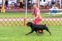 20250621-DSC07701