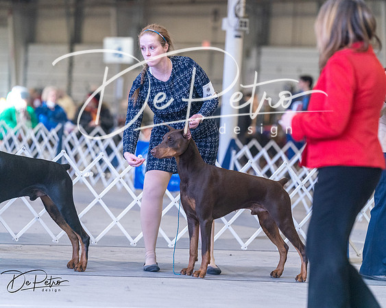 20250302-DSC07021