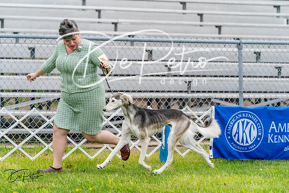 20240428-DSC08401