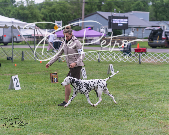 20250627-DSC06498