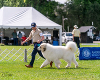 20240630-DSC02922