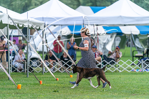 20240630-DSC05392
