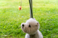20250626-DSC02629