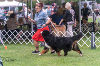 20250628-DSC07613