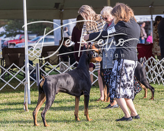 20190929-DSC02192