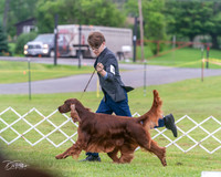 20250626-DSC03923
