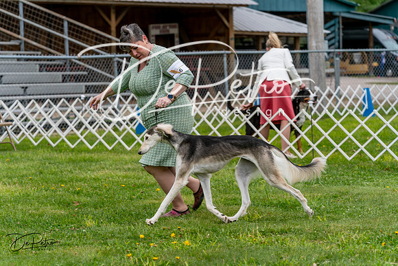 20240428-DSC08422
