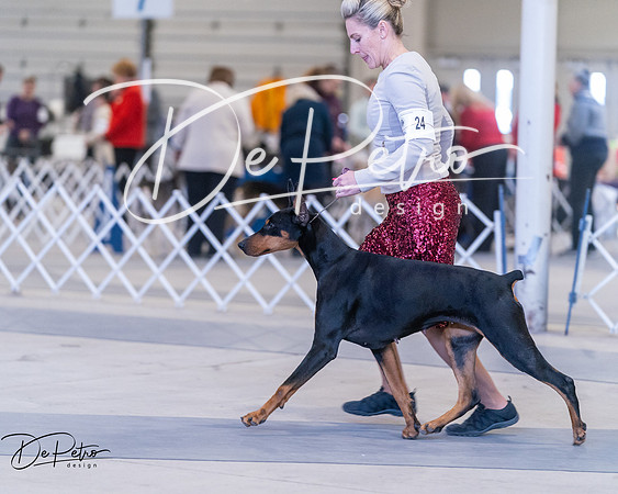 20250302-DSC06484