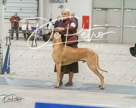 20250302-DSC07803