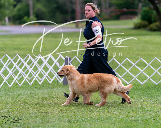 20240630-DSC00795