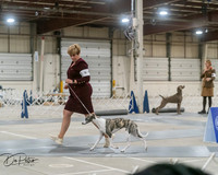 20250302-DSC07829