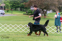 20250628-DSC07445