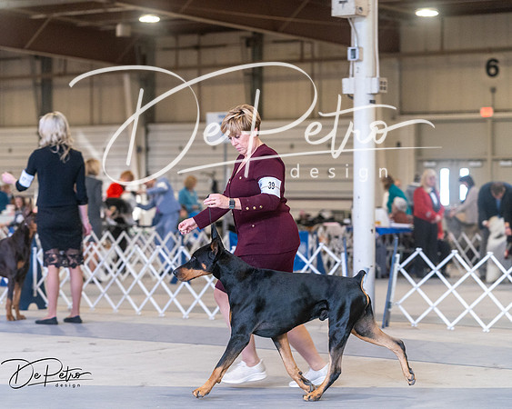 20250302-DSC07050