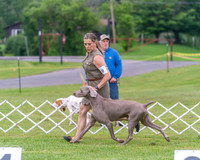 20250626-DSC03945