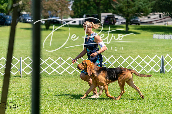 20240630-DSC01932
