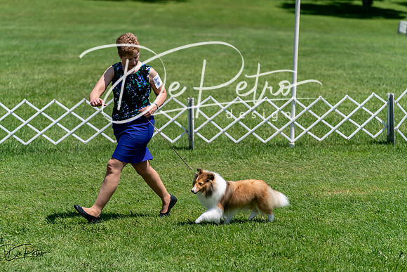 20240630-DSC01377