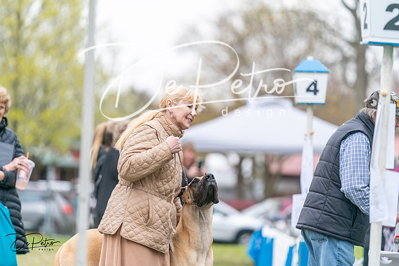 20240428-DSC08774