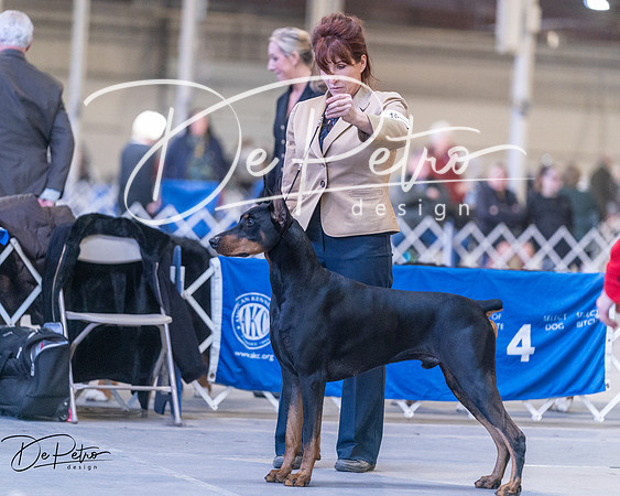20250302-DSC06307