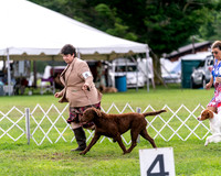 20240630-DSC03866