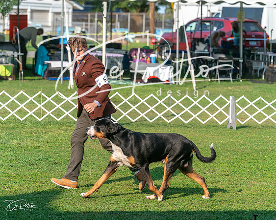 20240913-DSC00218