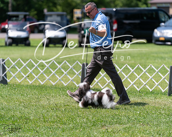 20240630-DSC01514