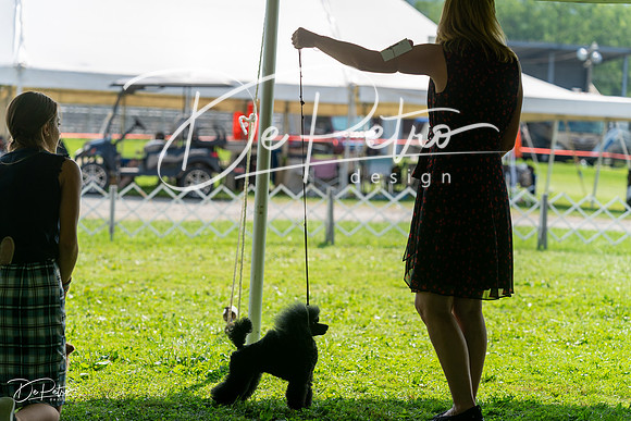 20240816-DSC00292