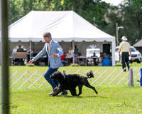20240630-DSC02927