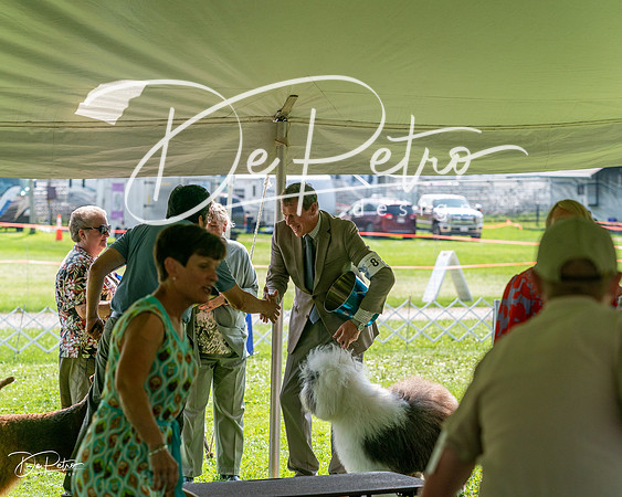20240816-DSC01137