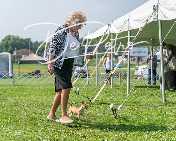 20240816-DSC01126