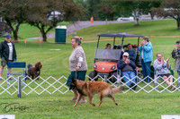 20250627-DSC06131