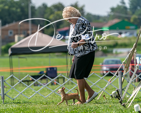 20240816-DSC01043