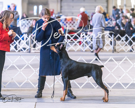 20250302-DSC07230