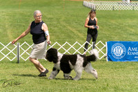 20250628-DSC07842