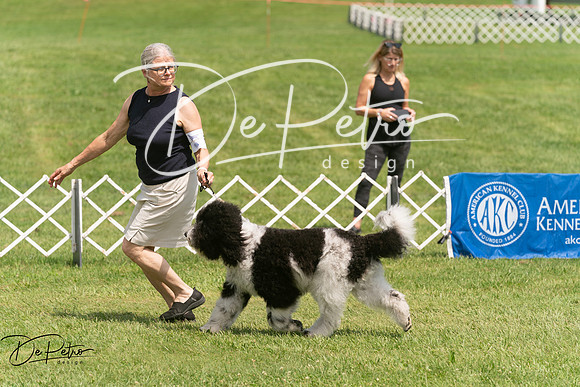 20250628-DSC07842