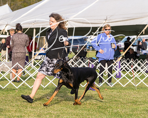 20190929-DSC02216