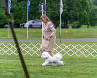 20250626-DSC03574