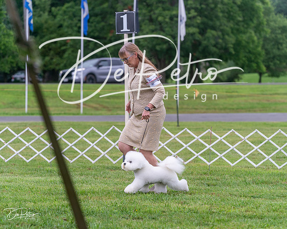 20250626-DSC03574