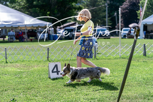 20240630-DSC04927