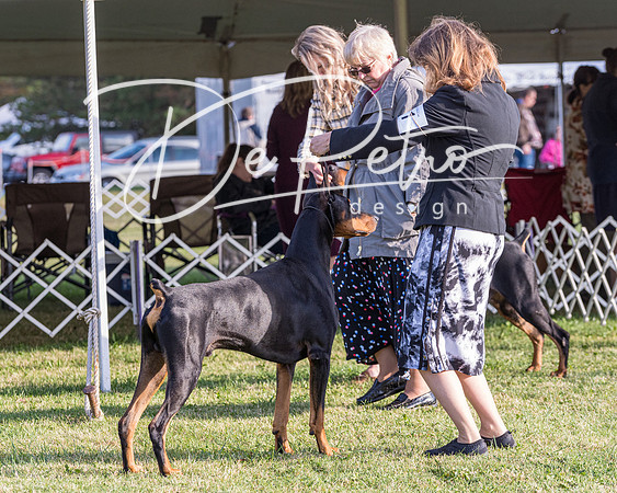 20190929-DSC02193