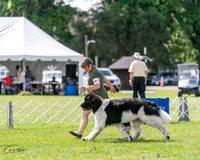 20240630-DSC02895