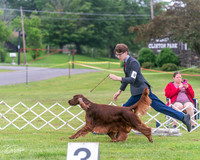 20250626-DSC03870