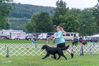 20250626-DSC02183