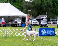 20240630-DSC03833