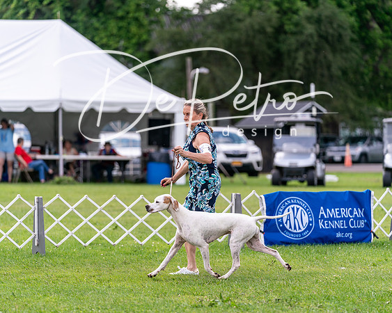20240630-DSC03833
